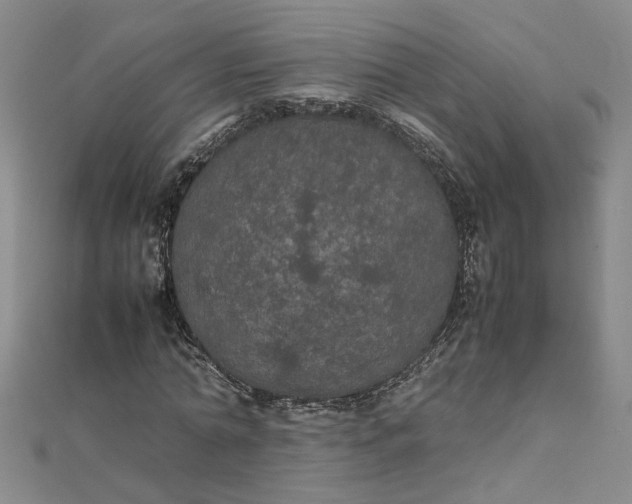 X0000111860774200908061335