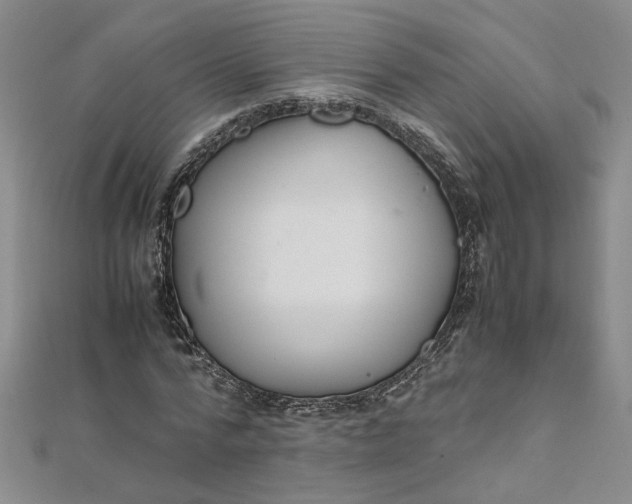 X0000111860776200908061335