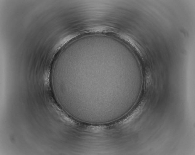 X0000111860778200908061335