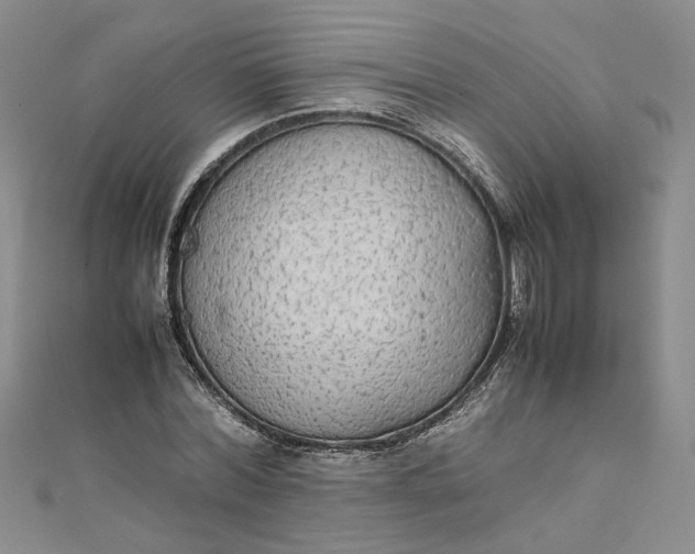 X0000111860780200908061335