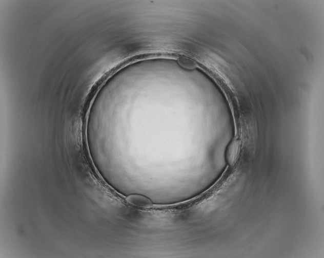 X0000111860781200908061335