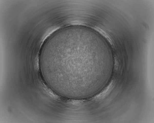 X0000111860782200908061335