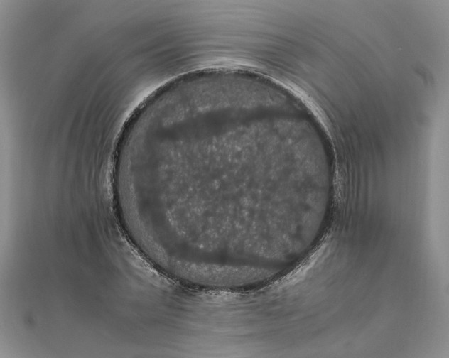 X0000111860783200908061335