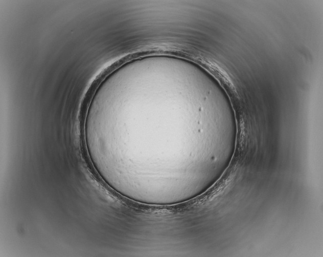 X0000111860784200908061335