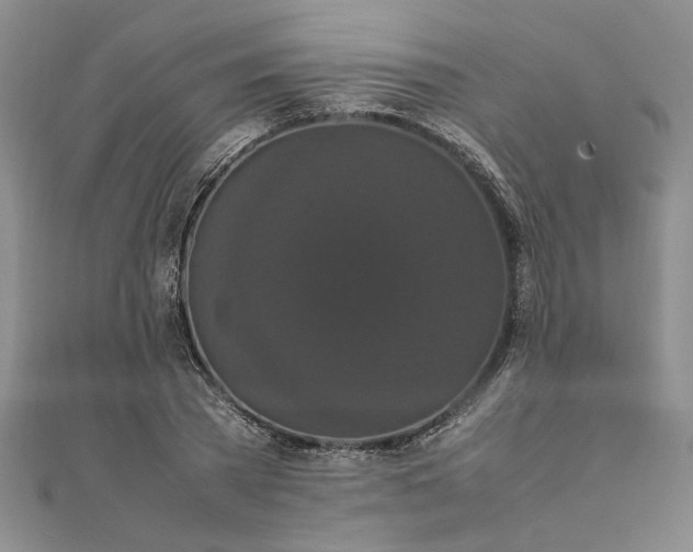 X0000111860785200908061335