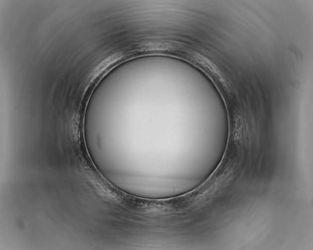 X0000111860786200908061335