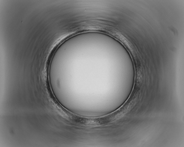 X0000111860787200908061335