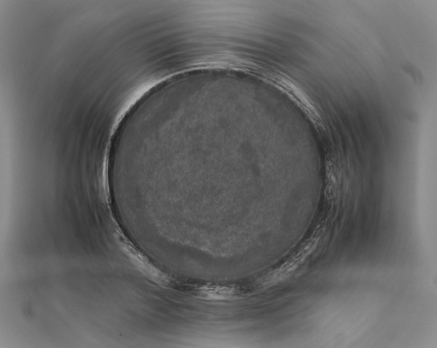 X0000111860788200908061335