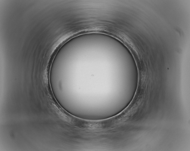 X0000111860789200908061335