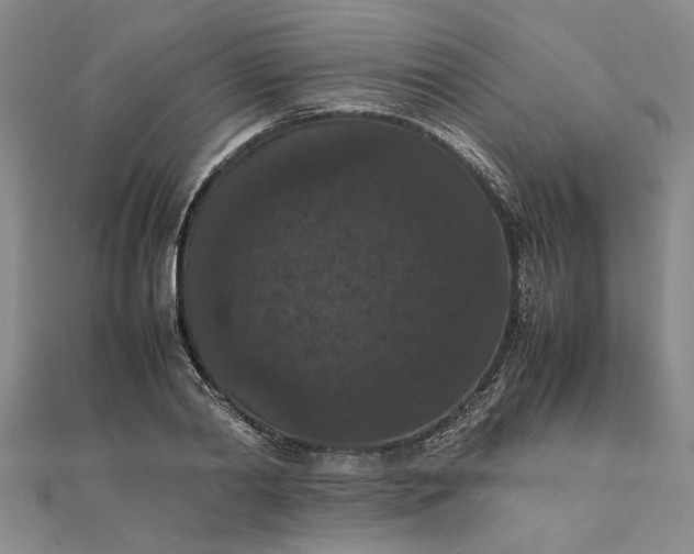 X0000111860790200908061335