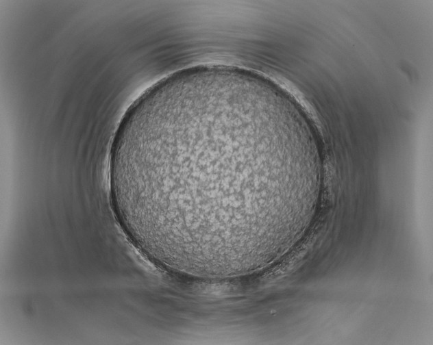 X0000111860791200908061335