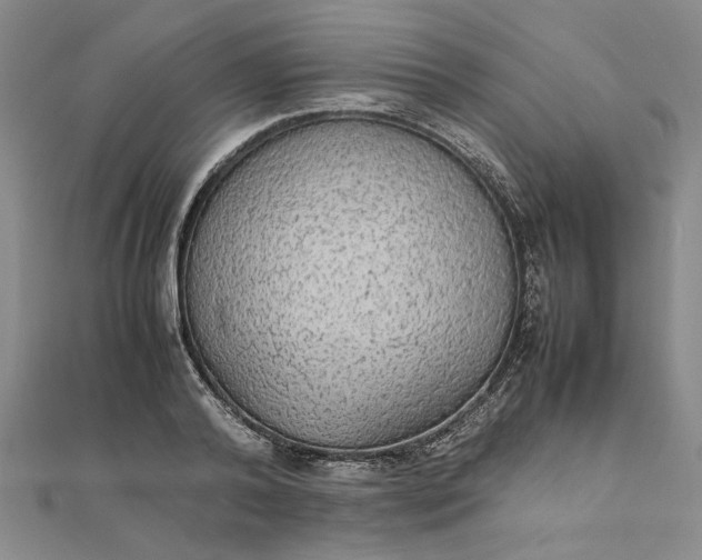 X0000111860792200908061335