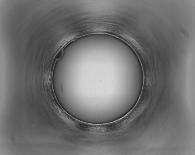 X0000111860793200908061335