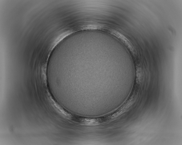 X0000111860794200908061335