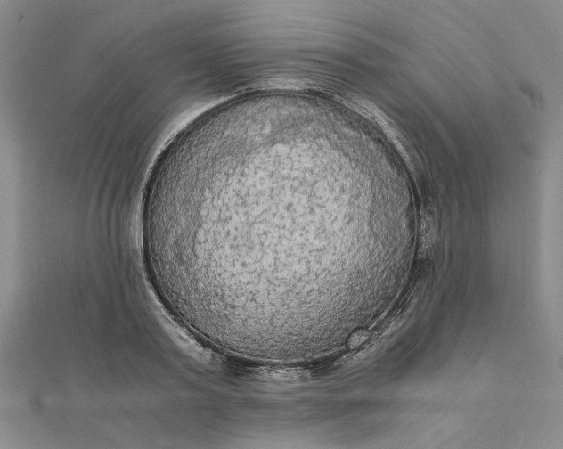 X0000111860795200908061335