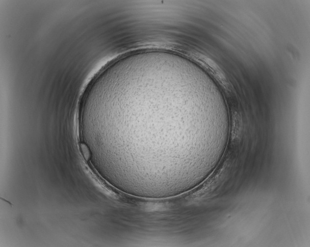 X0000111860796200908061335