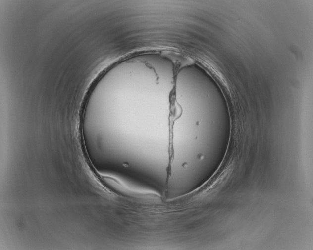 X0000111860797200908061335