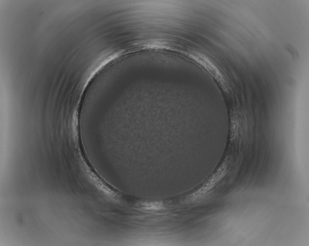 X0000111860798200908061334