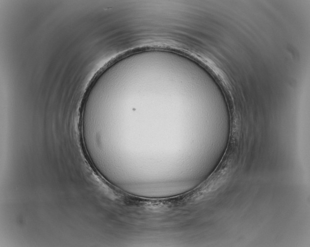 X0000111860799200908061334