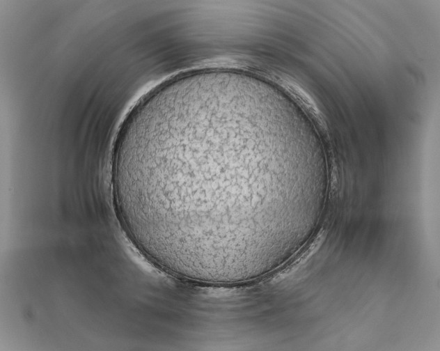 X0000111860800200908061334