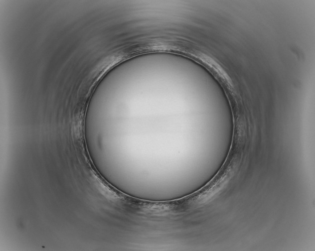 X0000111860801200908061334