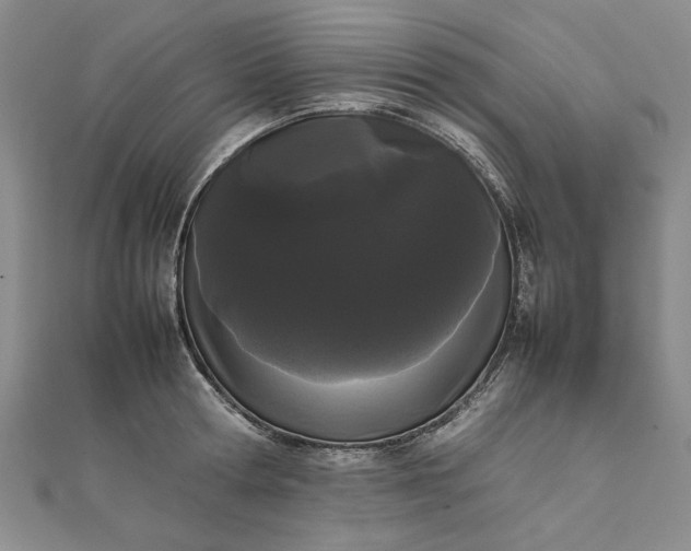 X0000111860802200908061334