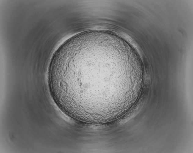 X0000111860803200908061334