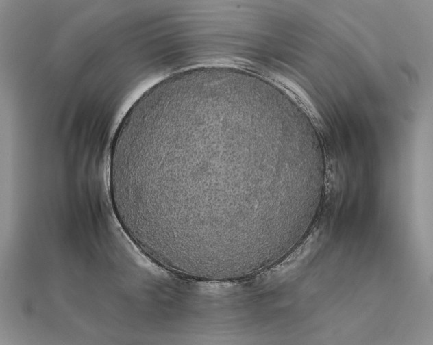 X0000111860804200908061334