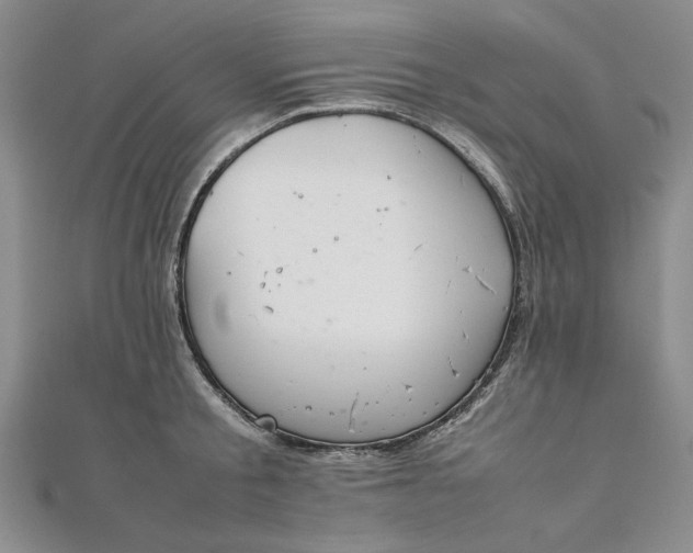 X0000111860805200908061334