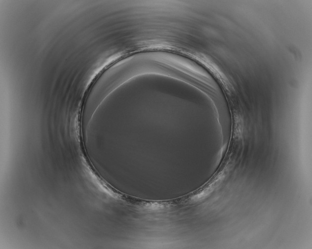 X0000111860806200908061334