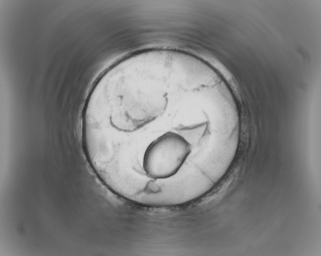 X0000111860807200908061334