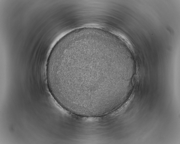 X0000111860808200908061334