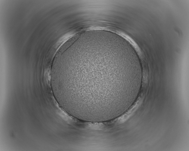 X0000111860809200908061334