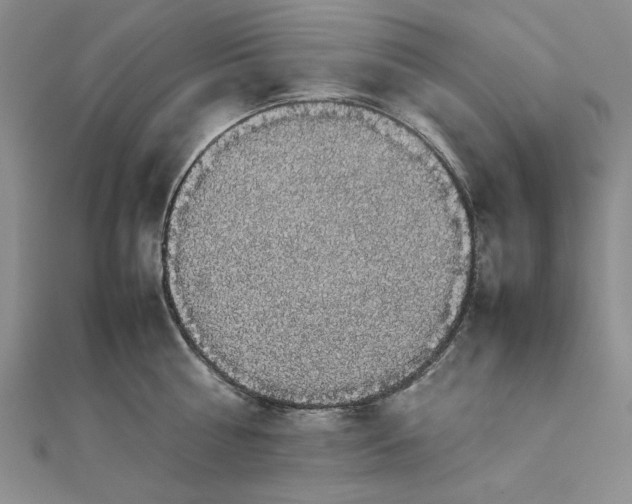 X0000111860810200908061334