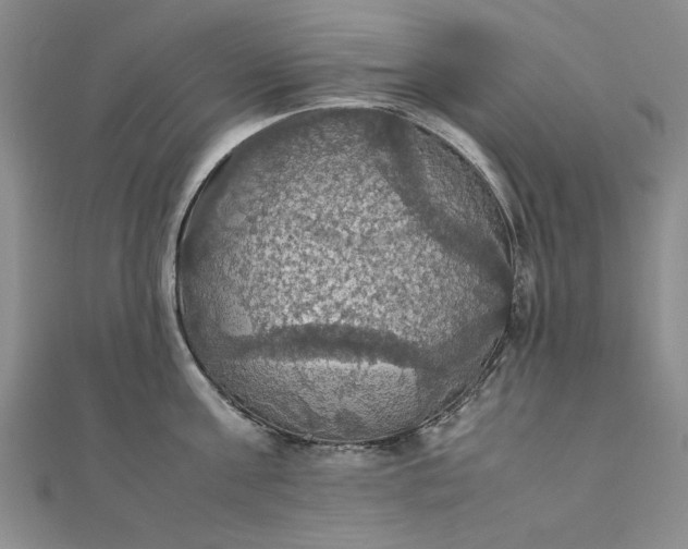 X0000111860811200908061334