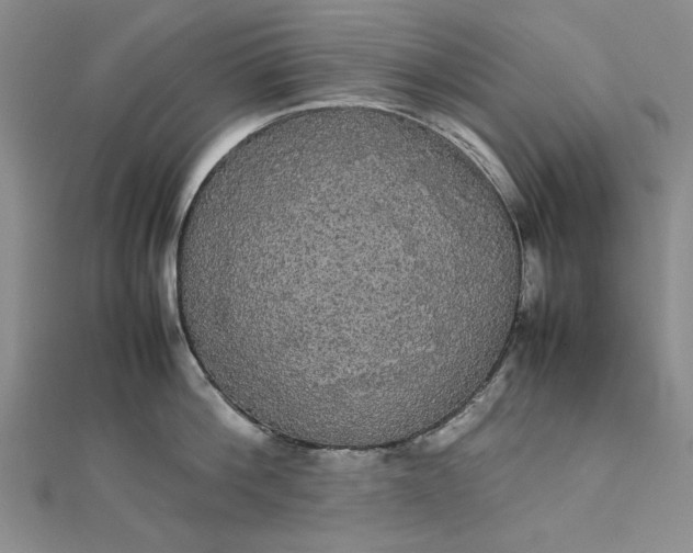 X0000111860812200908061334