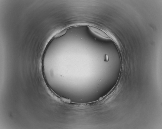 X0000111860813200908061334