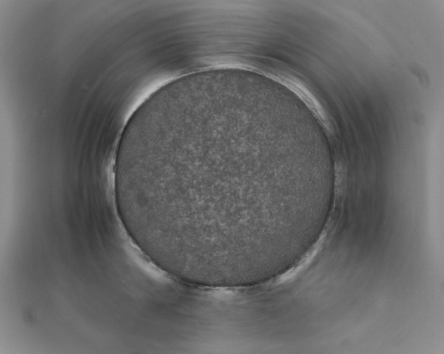 X0000111860814200908061334