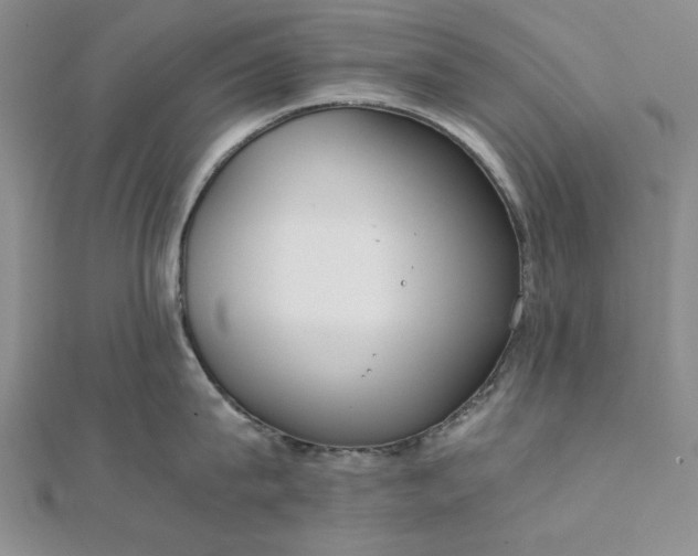 X0000111860815200908061334