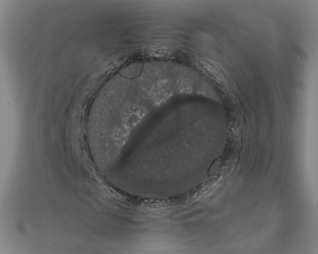 X0000111860817200908061334