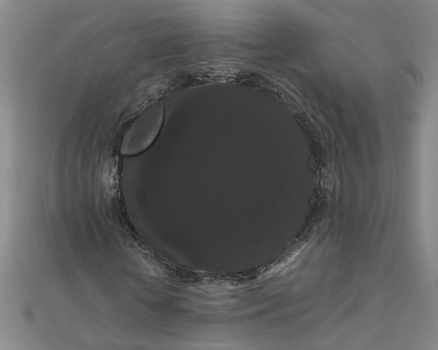 X0000111860818200908061334