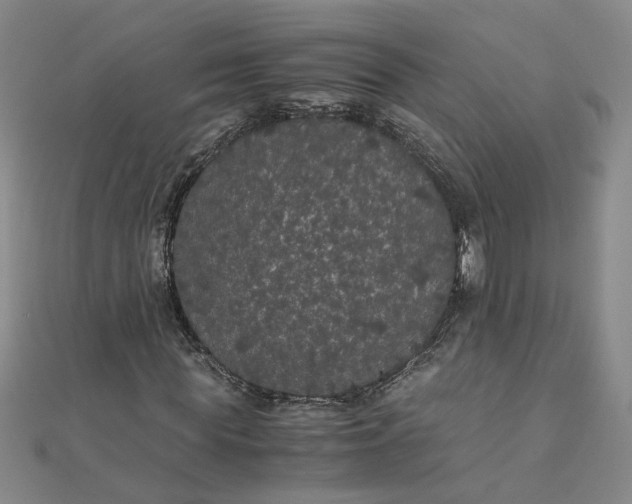 X0000111860819200908061334