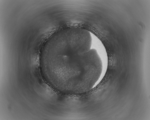 X0000111860820200908061334