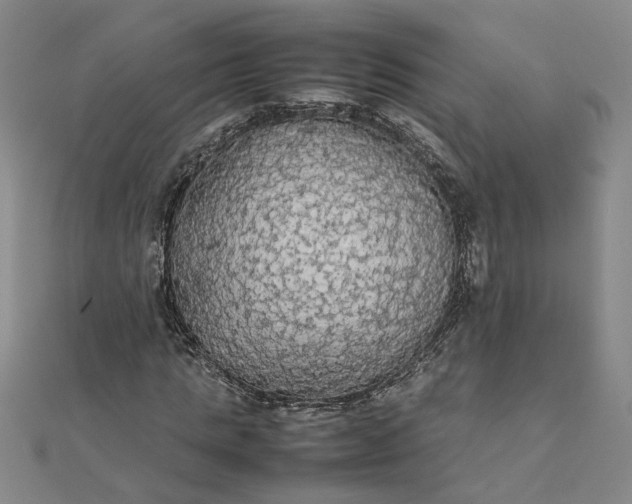 X0000111860821200908061334