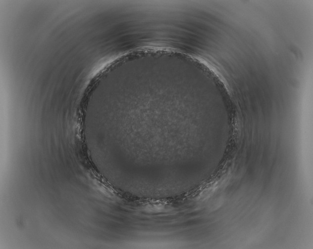 X0000111860823200908061334