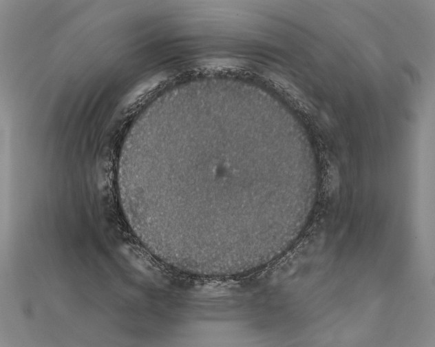 X0000111860824200908061334