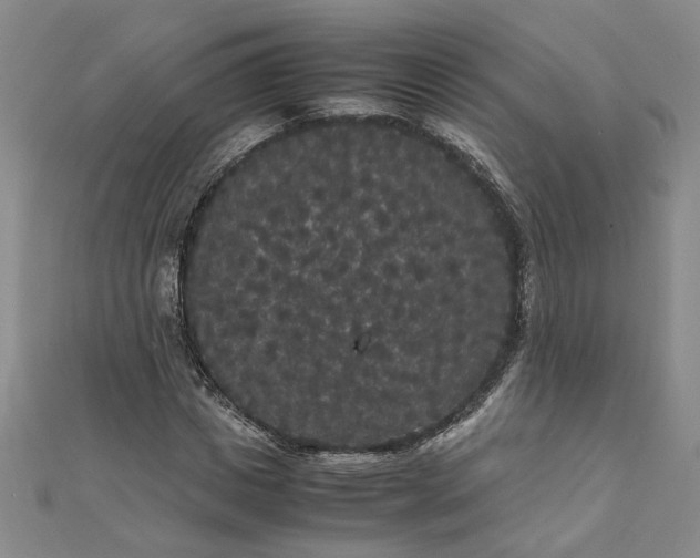 X0000111860825200908061334