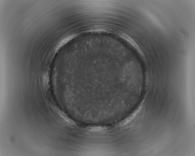 X0000111860826200908061334