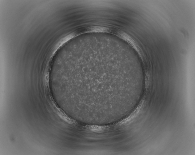 X0000111860827200908061334