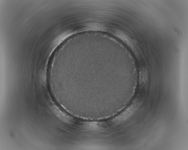 X0000111860828200908061334